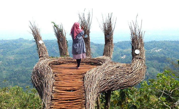 Hutan Pinus Yogyakarta