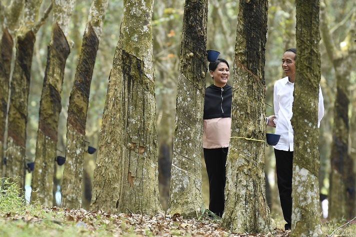 Kemesraan di Kebun Karet