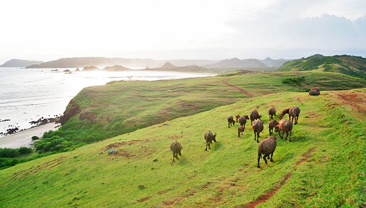 Sirkuit Mandalika