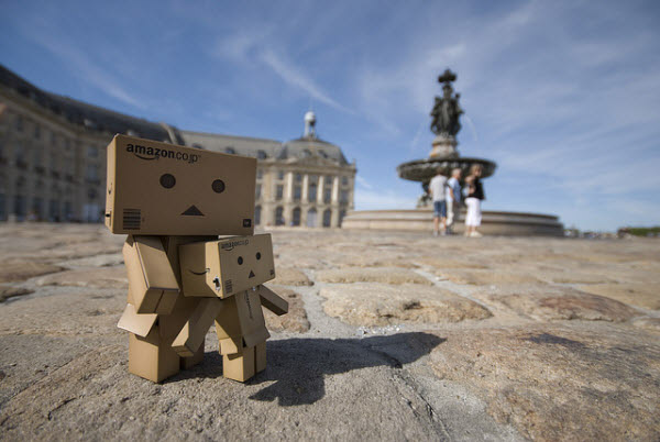 Boneka Kardus Danbo