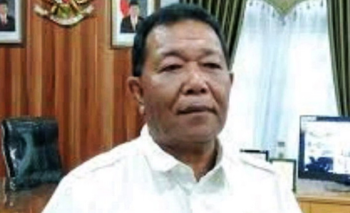 Bupati Mandailing Natal