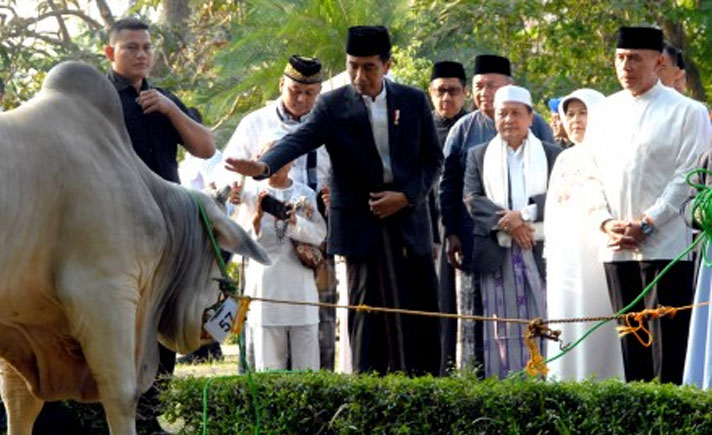 Presiden Joko Widodo