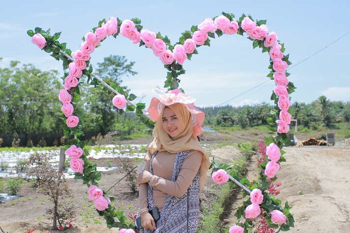 Taman Bunga Celosia