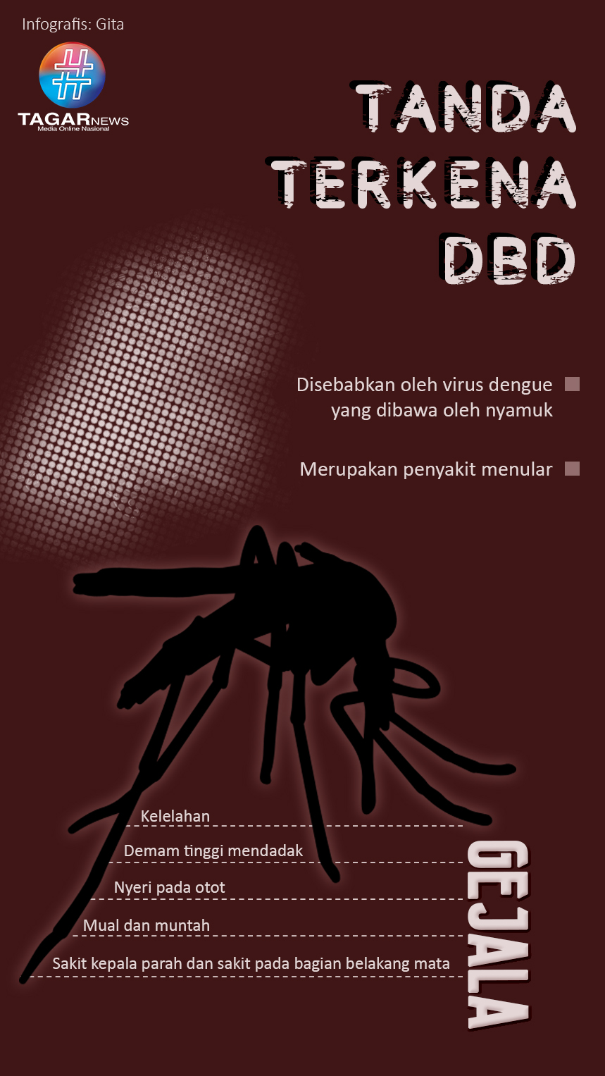 Tanda-tanda Terkena DBD