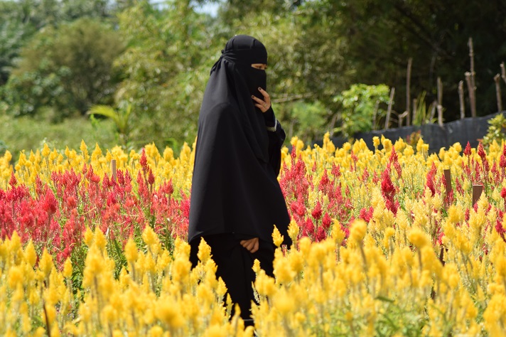 Taman Bunga Celosia
