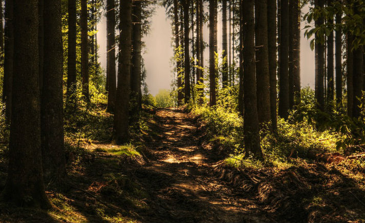 Anak NTB, Satu Jam Menembus Hutan Menuju Sekolah