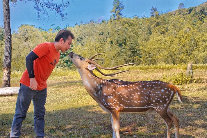 Penangkaran Rusa Cariu