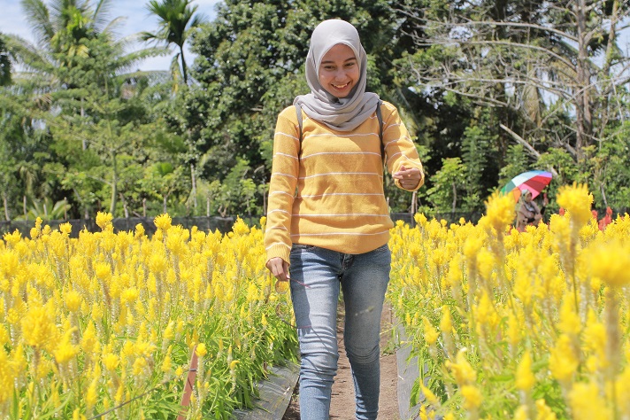 Taman Bunga Celosia