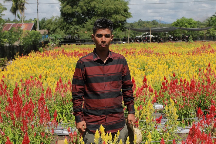 Taman Bunga Celosia