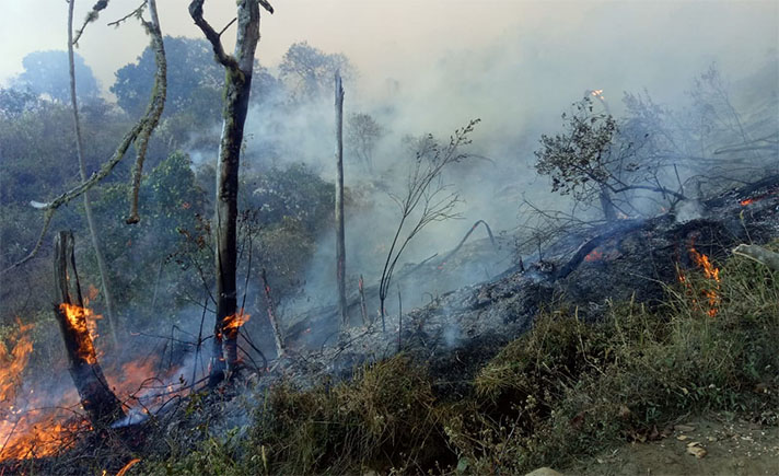 Kebakaran di Puncak