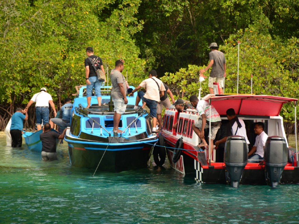 Raja Ampat 3