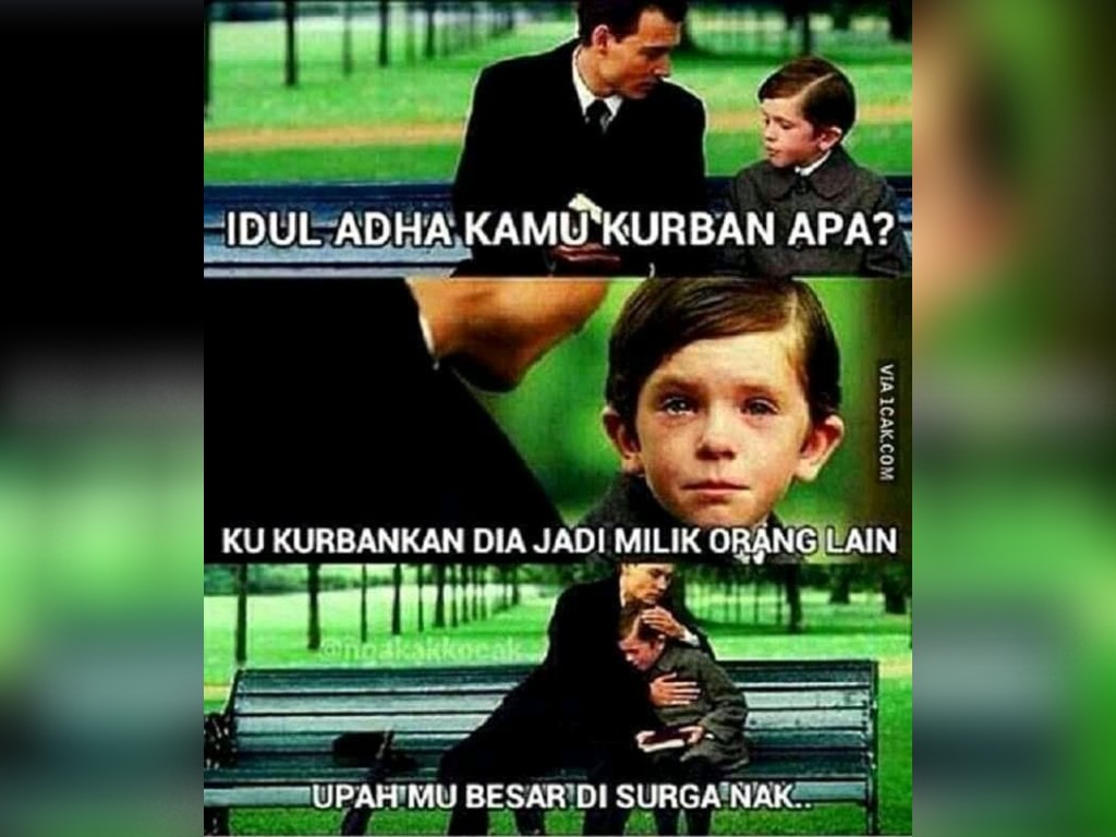 Lima Meme Tingkah Hewan Kurban Saat Idul Adha Tagar