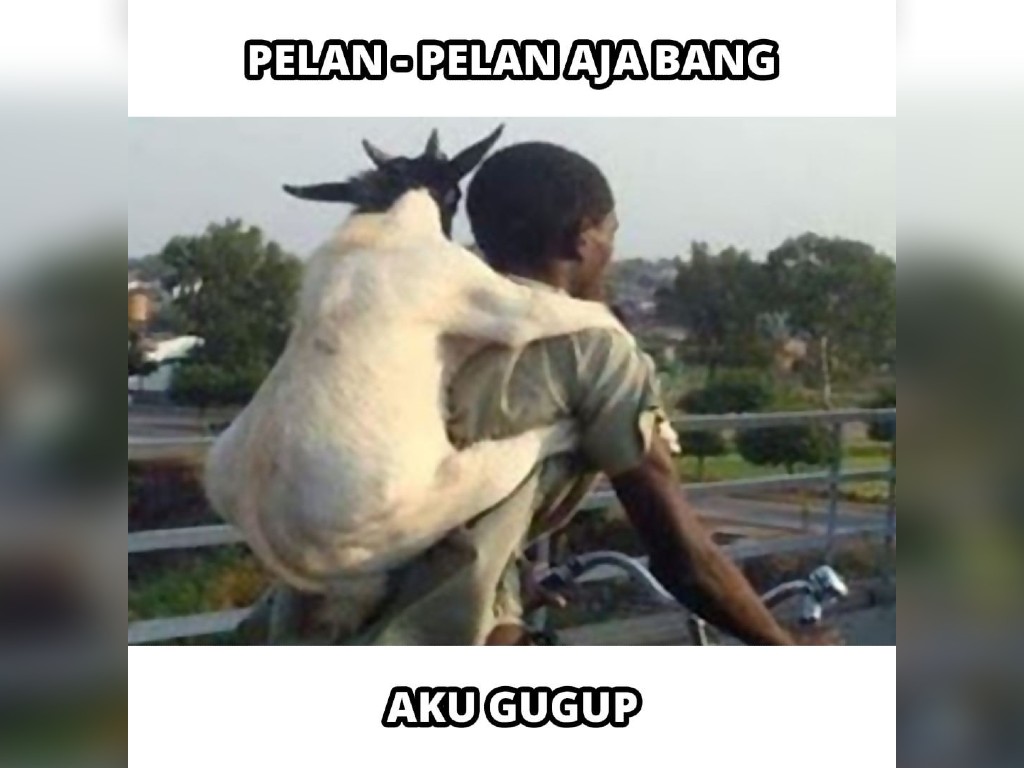 Meme Idul Adha