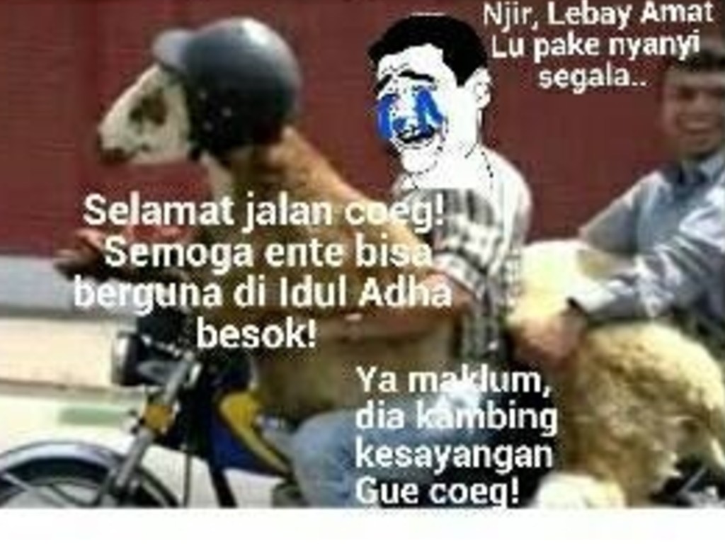 Meme Idul Adha