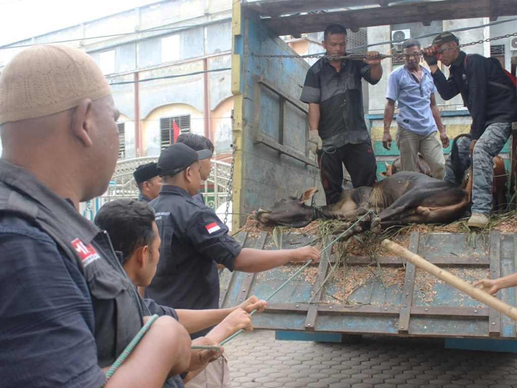 Hewan Kurban Aceh