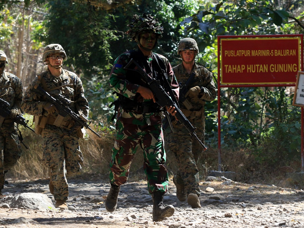 Tentara Nasional Indonesia