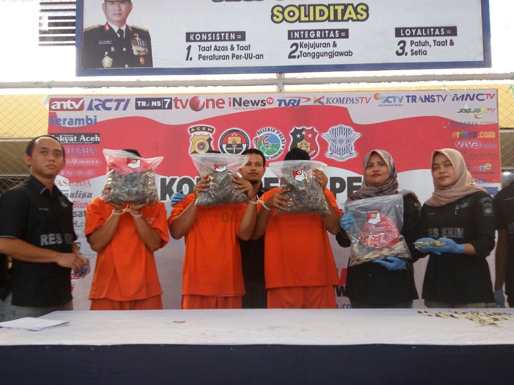 3 pelaku penjual trenggiling