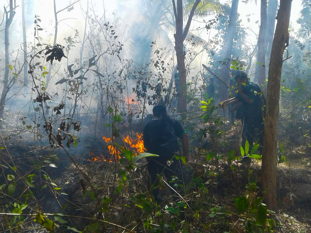 kebakaran Lahan Kulon Progo