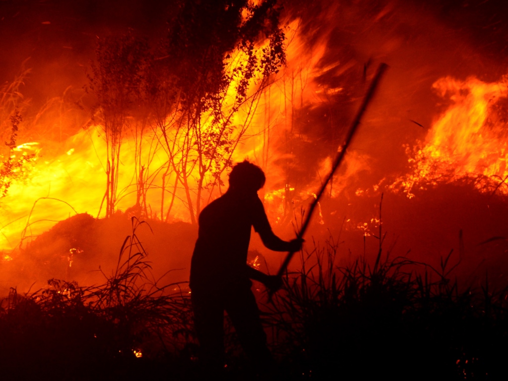 Kebakaran Hutan dan Lahan