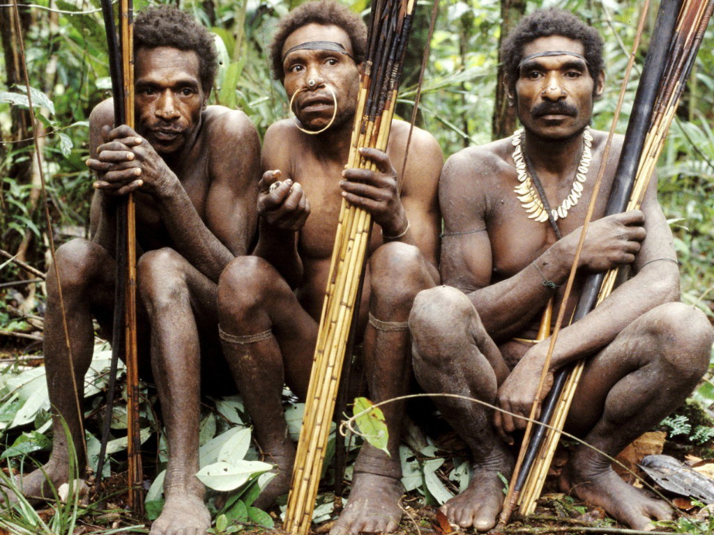 Dani dan Empat Suku di Papua | Tagar