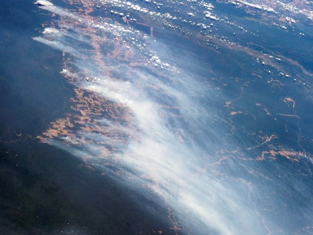 Kebakaran Hutan Amazon