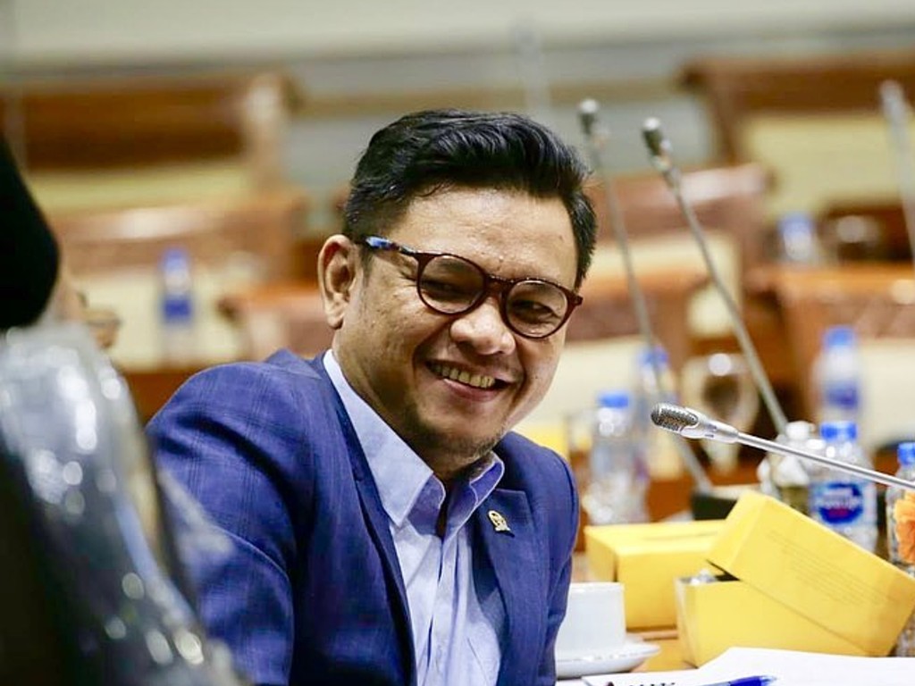 Ace Hasan Syadzily