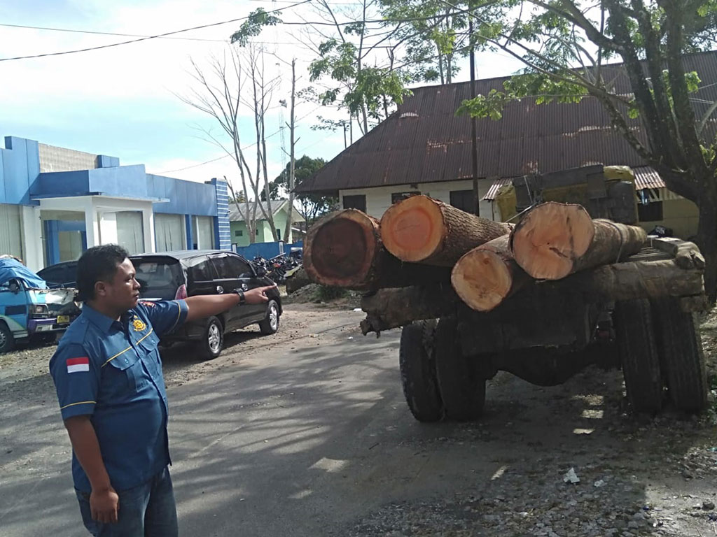 Illegal Logging di Dairi