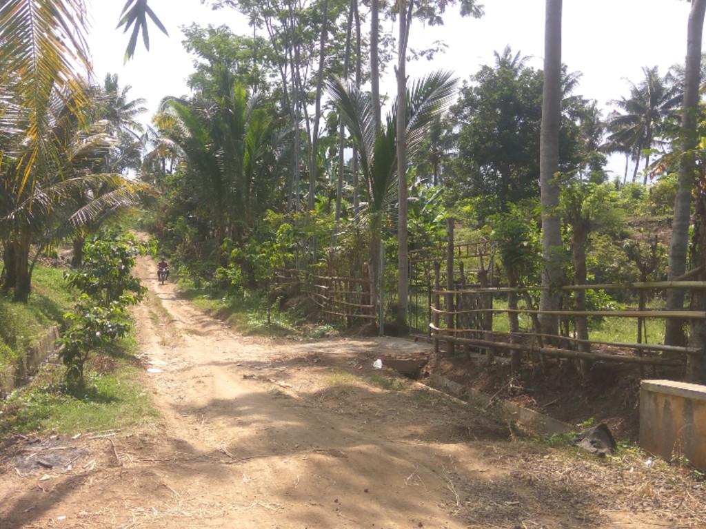 Menuju Desa Olehsari di Banyuwangi