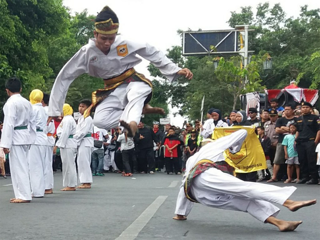 Pencak Silat