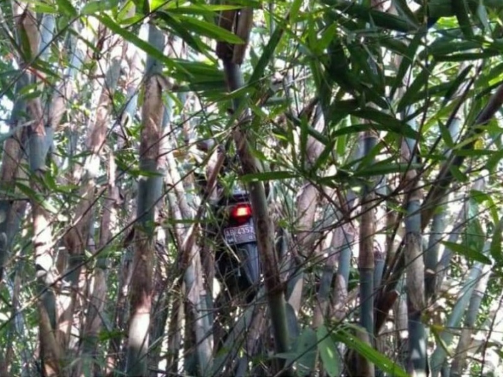 Motor tersangkut di bambu