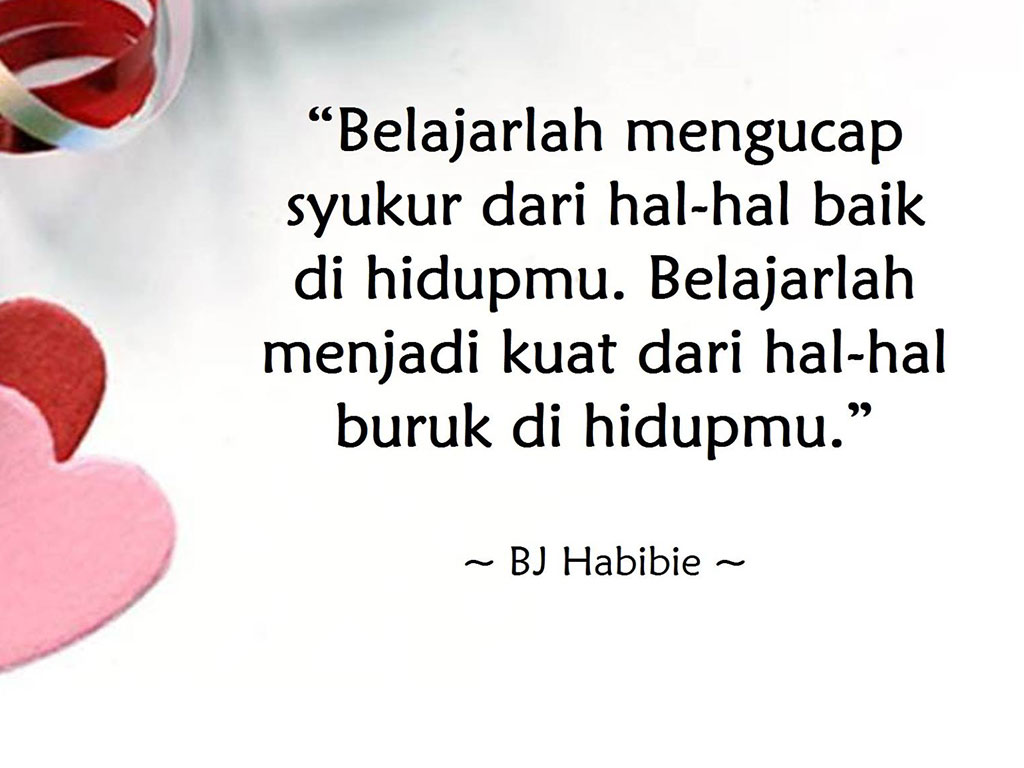 BJ Habibie