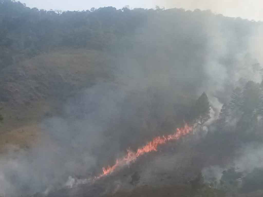 Hutan di Danau Toba Terbakar