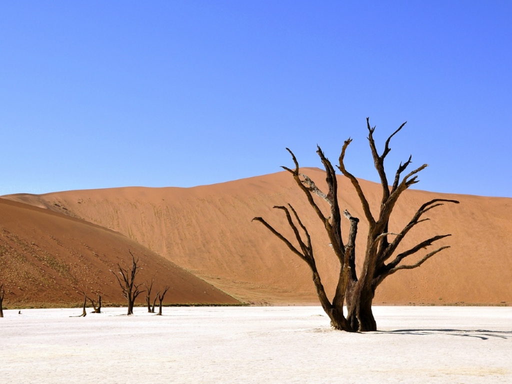 Padang Pasir Atacama