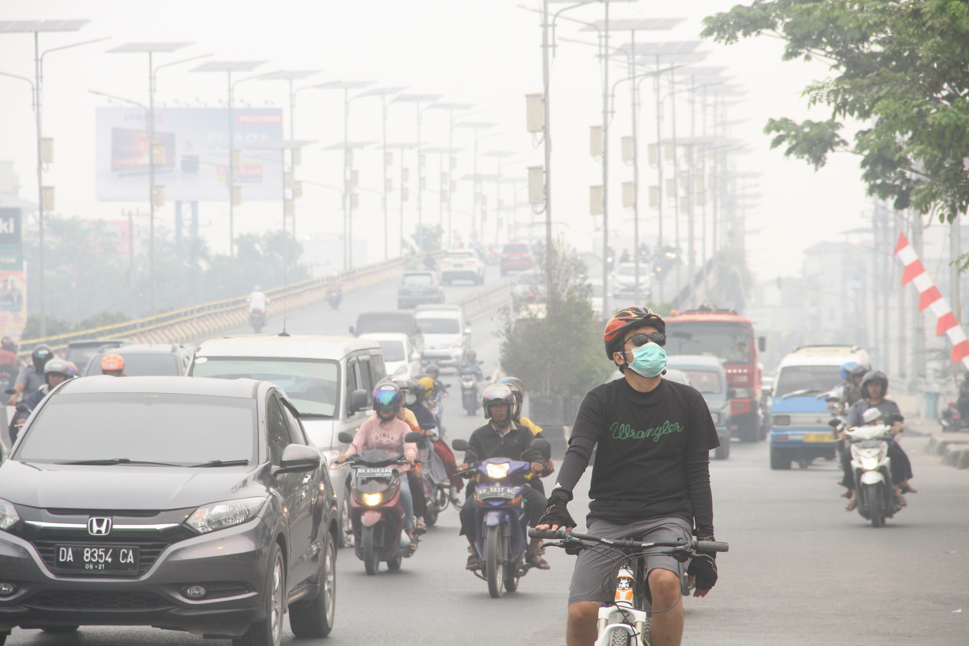 Kabut asap Kalimantan