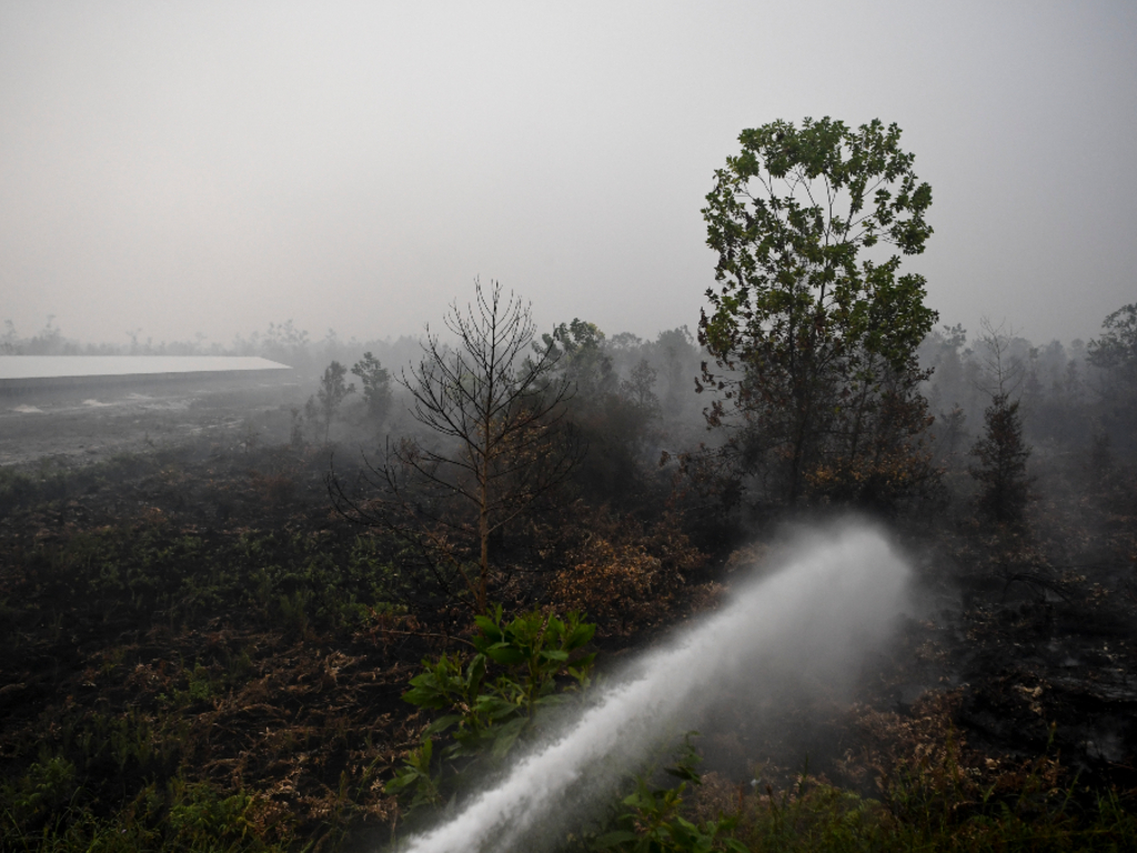 Titik panas Kalimantan