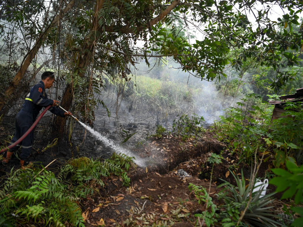 Titik panas Kalimantan