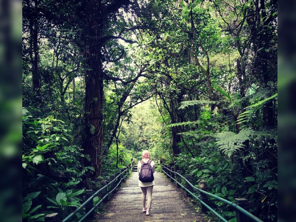 Wisata Taman Nasional Gunung Gede Pangrango