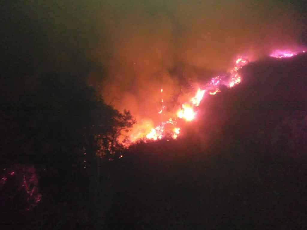 Kebakaran yang melanda hutan di lereng Gunung Slamet