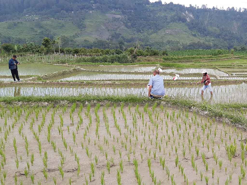 seorang petani di Kabupaten Dairi