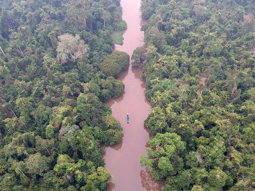 Taman Nasional Berbak dan Sembilang