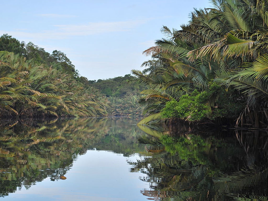 Taman Nasional Berbak dan Sembilang