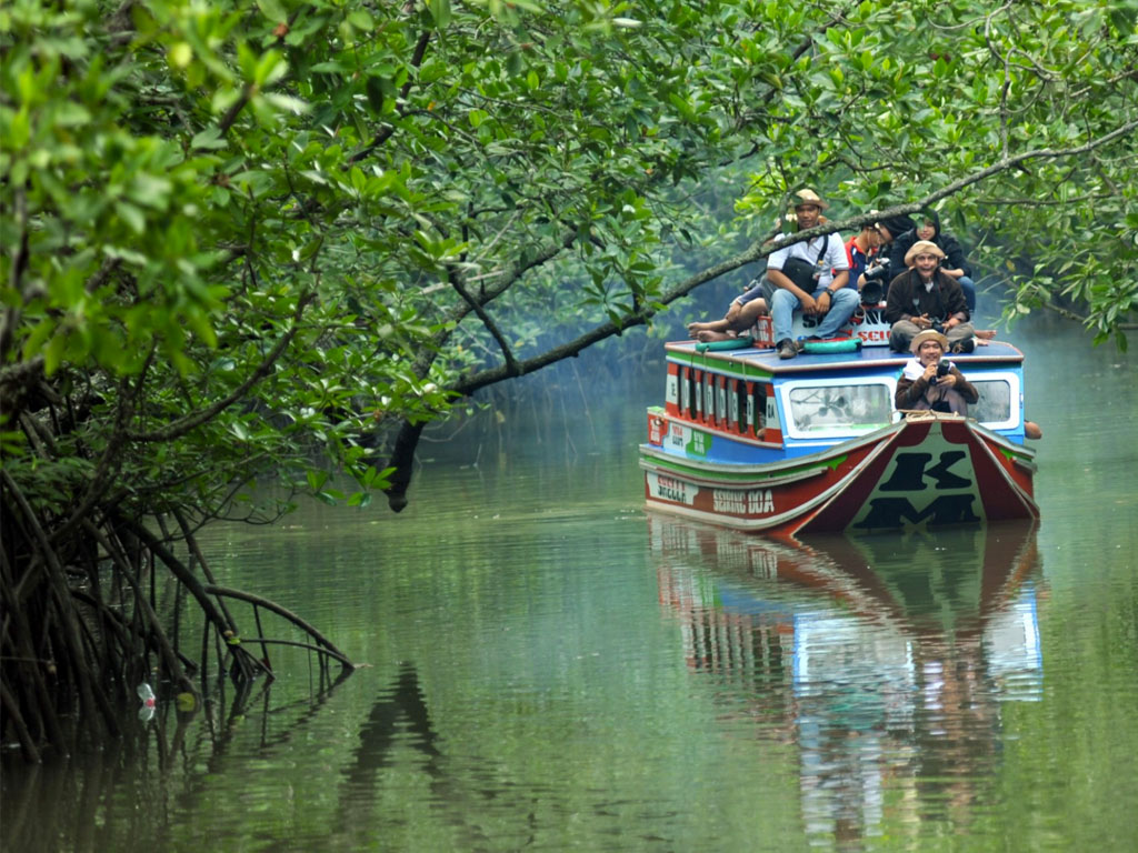 Taman Nasional Berbak dan Sembilang