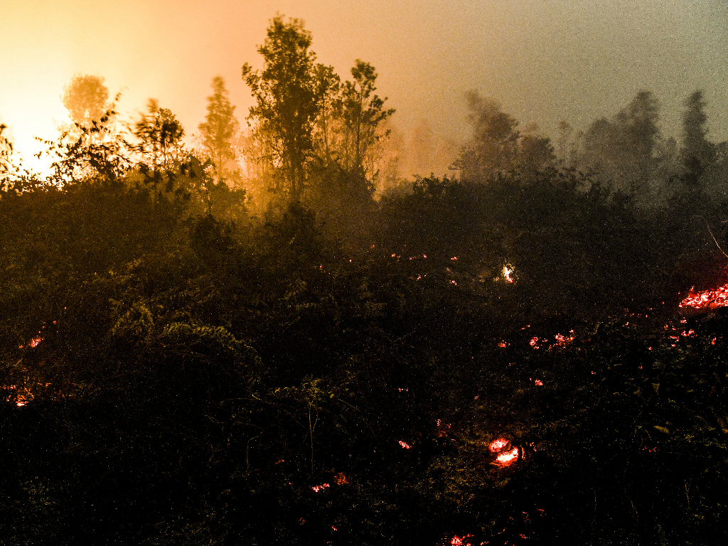 Karhutla Kalimantan