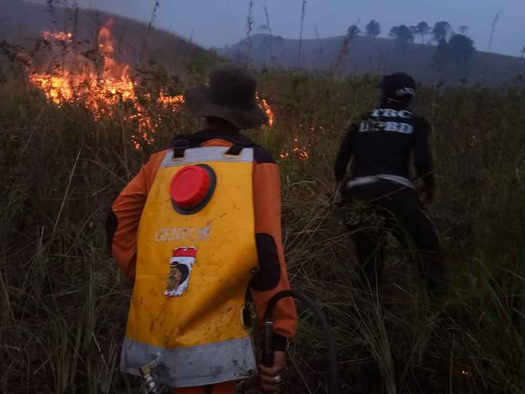 Hutan Dairi terbakar