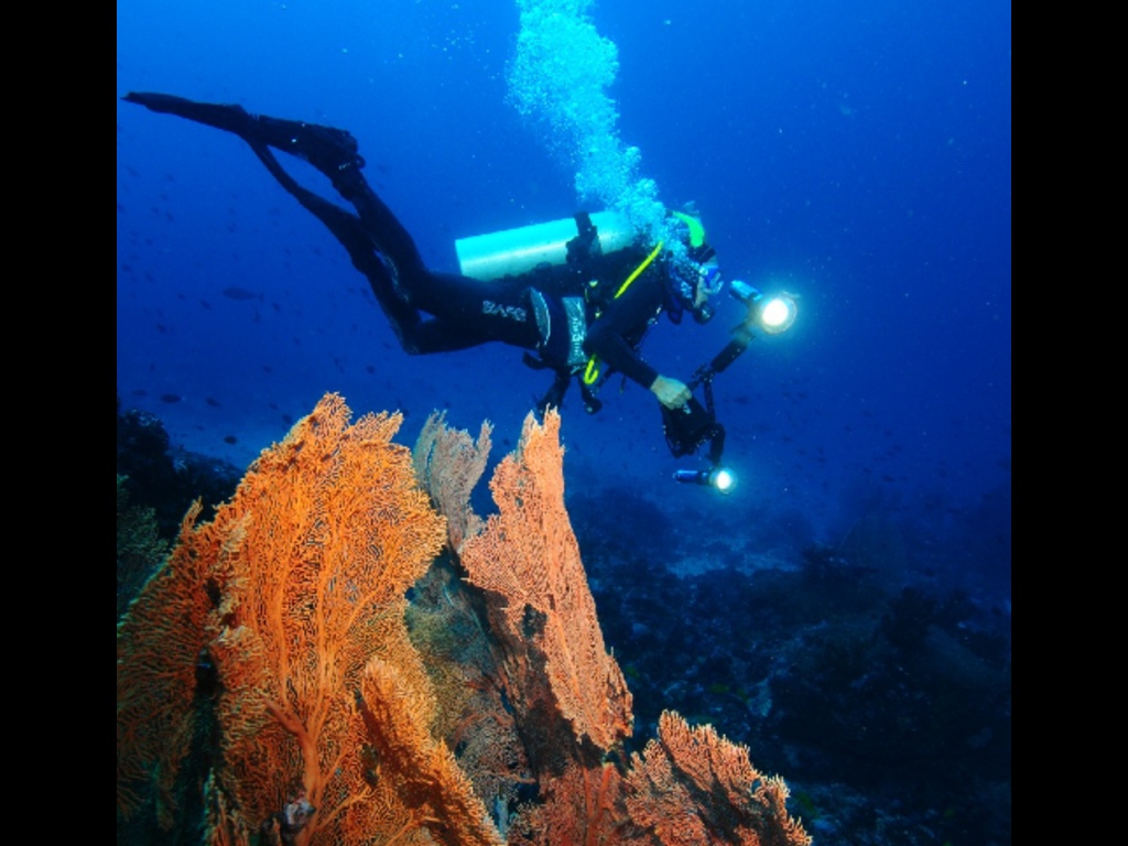 Diving di Aceh