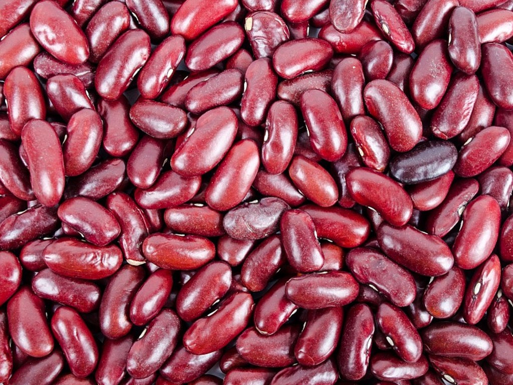 Kacang Merah