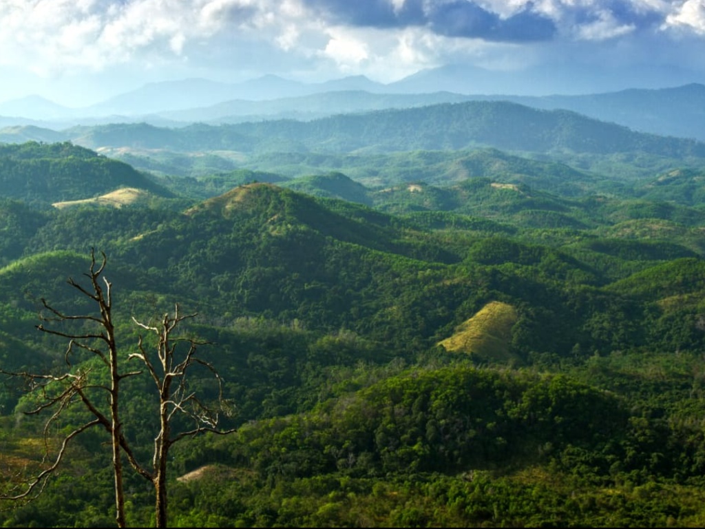 Matang Kaladan di Kalimantan Selatan