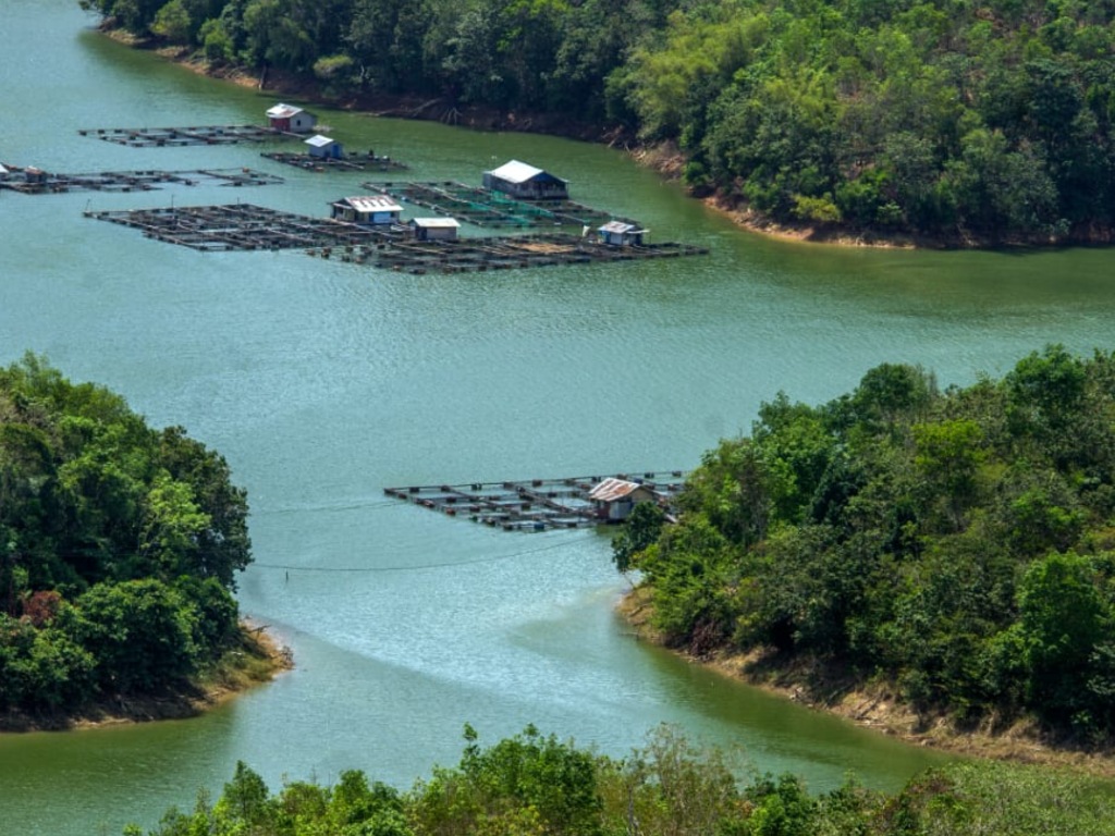 Matang Kaladan di Kalimantan Selatan