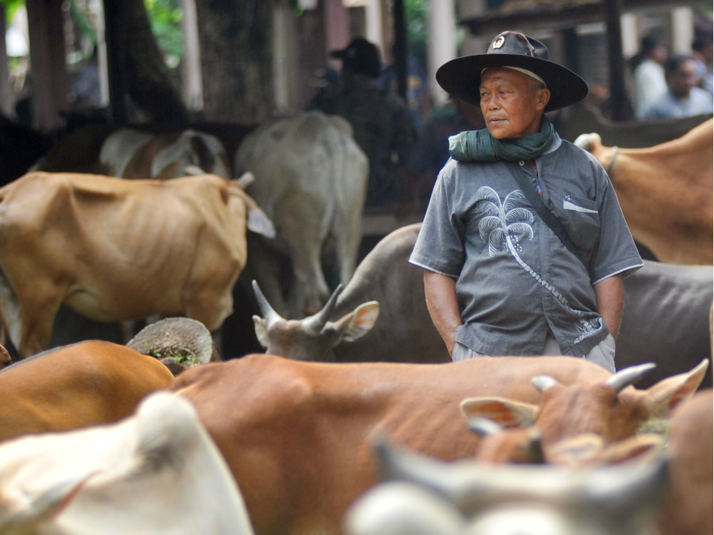 Tradisi Marosok Minangkabau