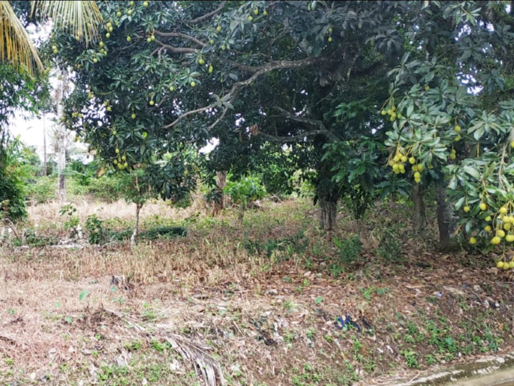 Pulau Hantu di Aceh